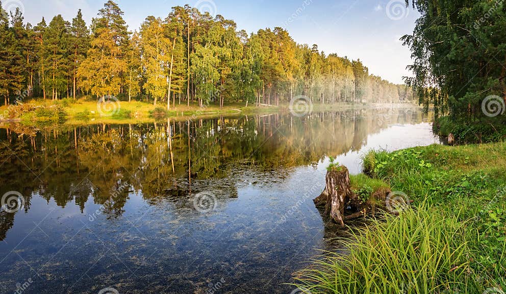 Herbstpanorama Mit Einem Teich Und Kiefern Auf Dem Ufer, Russland Ural