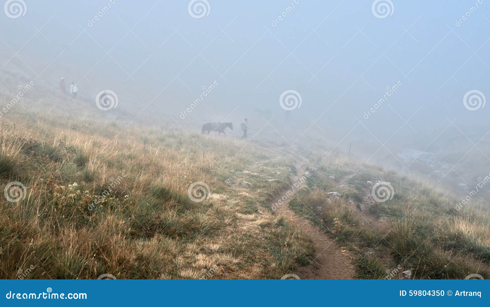 herder and horses in fog