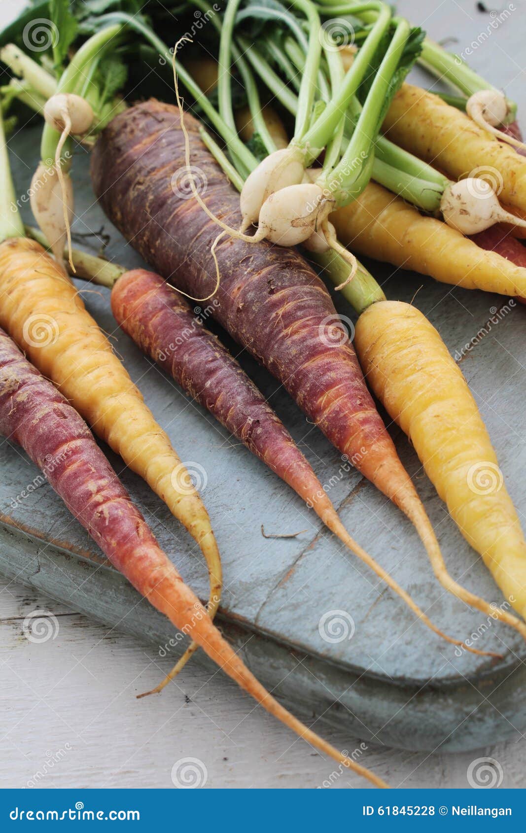 Heritage Carrots and Baby Turnips Stock Photo Image of clean, cooking