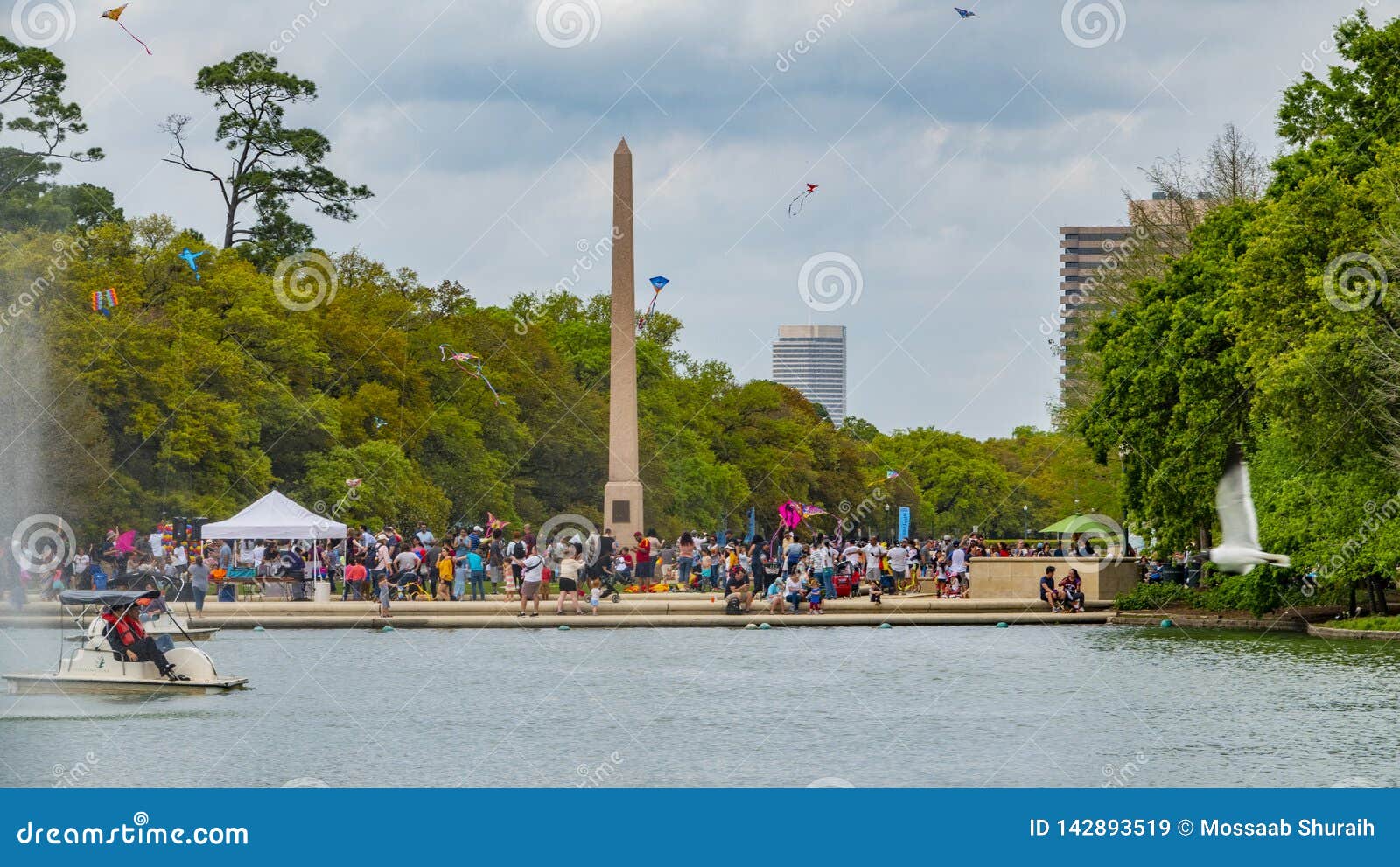 Houston, Texas, USA March, 24th, 2019 Kite Festival Editorial Stock