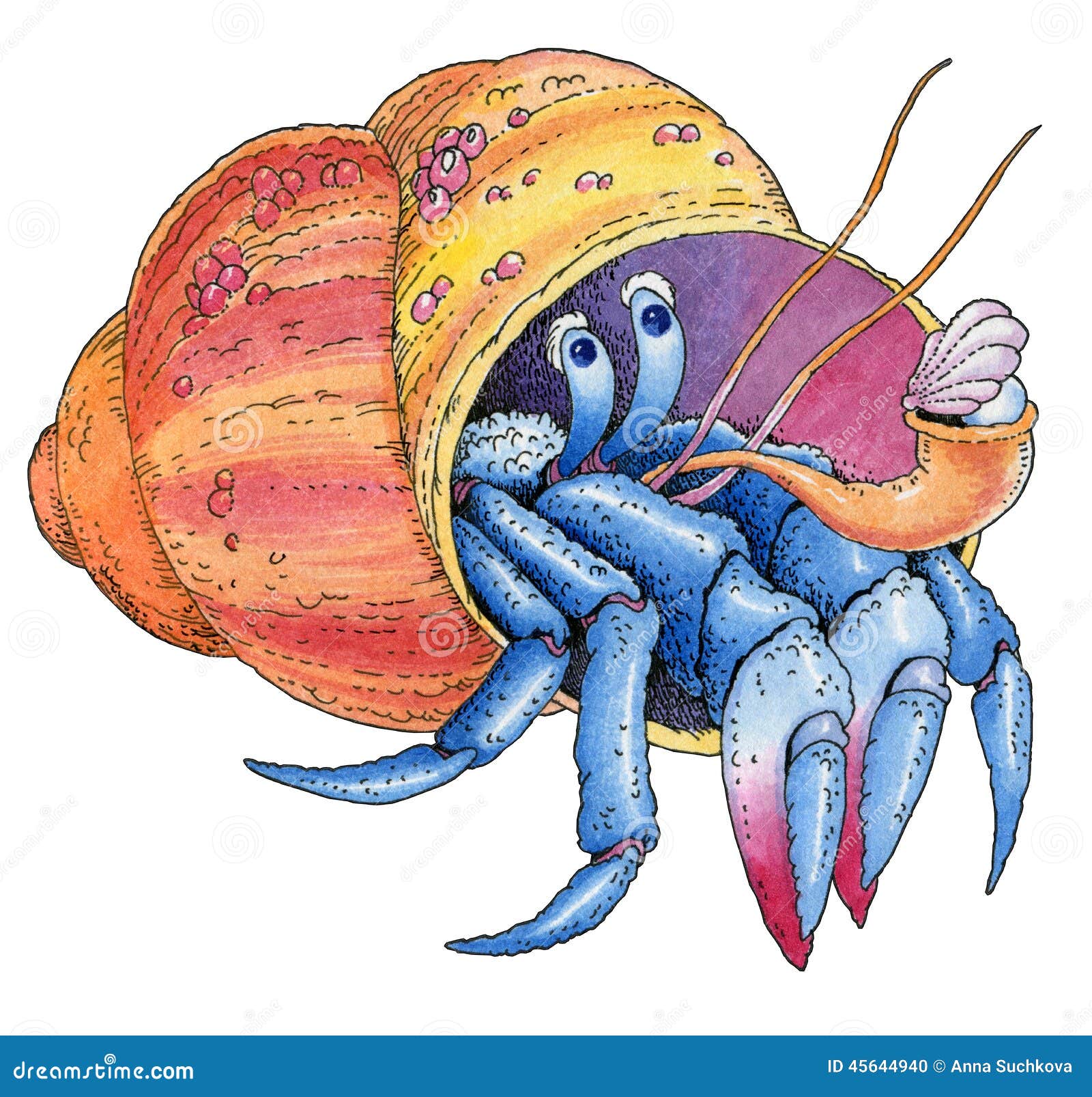 Hermit Crab Watercolor Painted Hand Drawing Stock Illustration - Image
