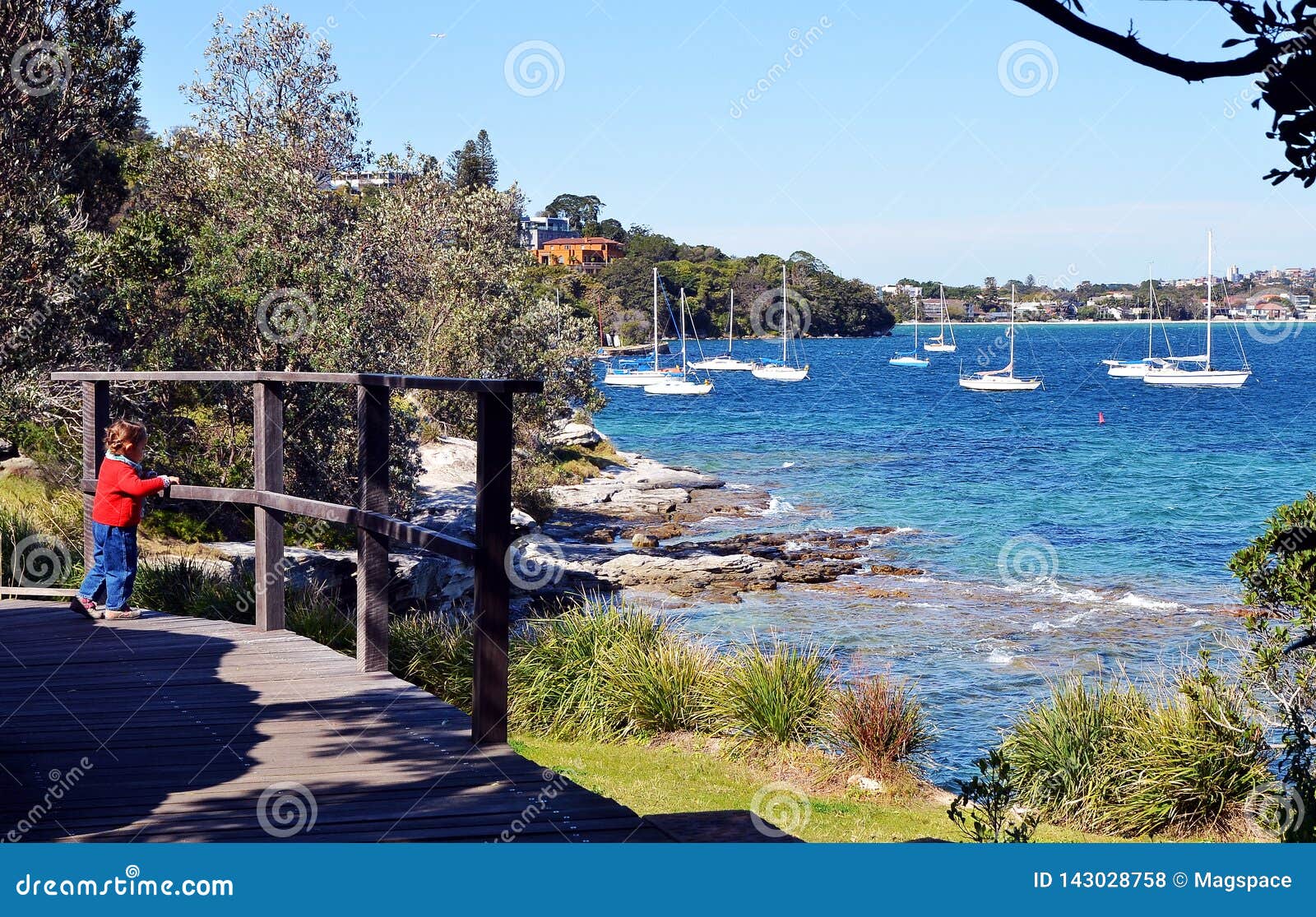 hermitage foreshore track