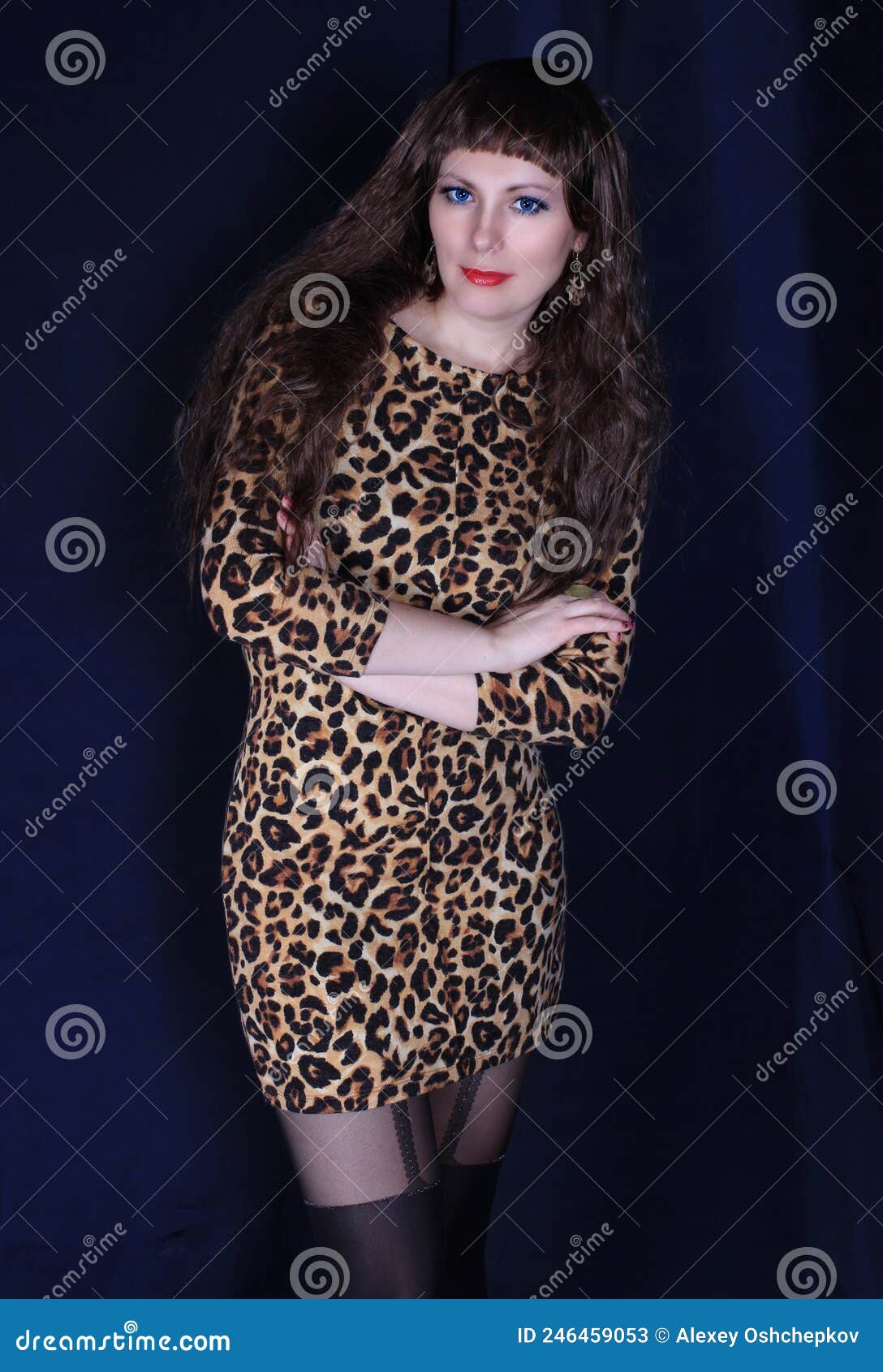 Hermosa Chica De Larga Pierna Con Vestido De Leopardo Y Medias Negras Posando En La Pared Azul Imagen de archivo - Imagen de medias, fetiche: 246459053 Hermosa Chica De Larga Pierna Con Vestido De Leopardo Y Medias Negras Posando En La Pared Azul Imagen de archivo - Imagen de medias, fetiche: 246459053
