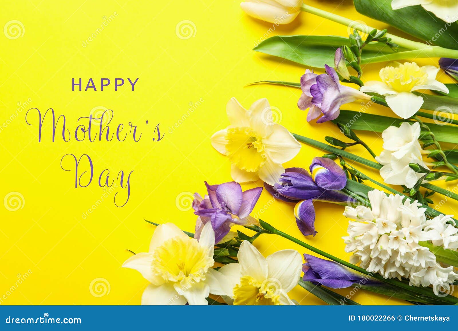 Hermosas Flores Primaverales Y Frase FELIZ DÍA DE LA MADRE Sobre El Fondo Foto de archivo - Imagen de frase, regalo: 180022266 Hermosas Flores Primaverales Y Frase FELIZ DÍA DE LA MADRE Sobre El Fondo Foto de archivo - Imagen de frase, regalo: 180022266