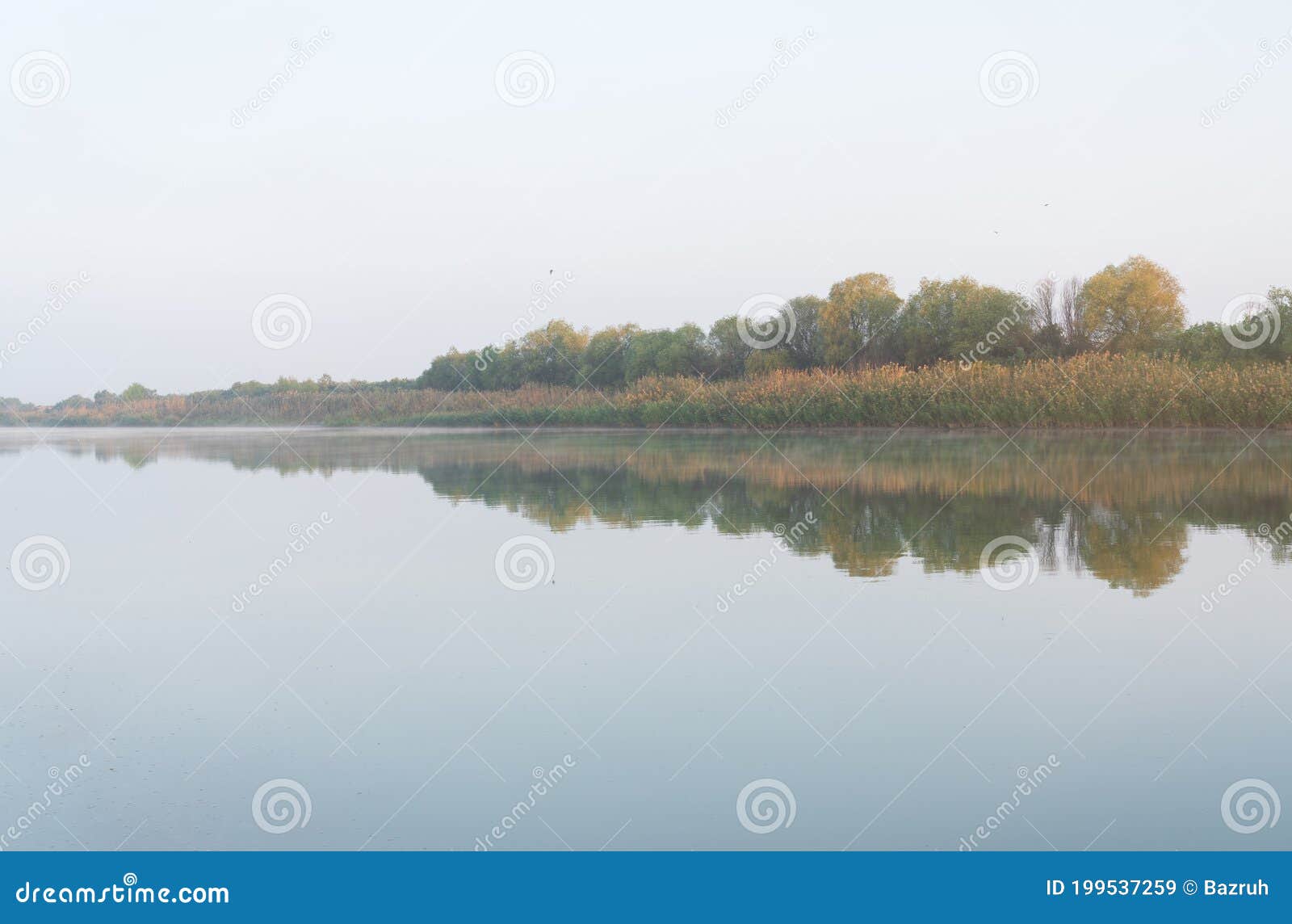 Hermosas Reflexiones Sobre Un Río Muy Plano Al Amanecer Imagen de archivo -  Imagen de paisaje, calma: 199537259