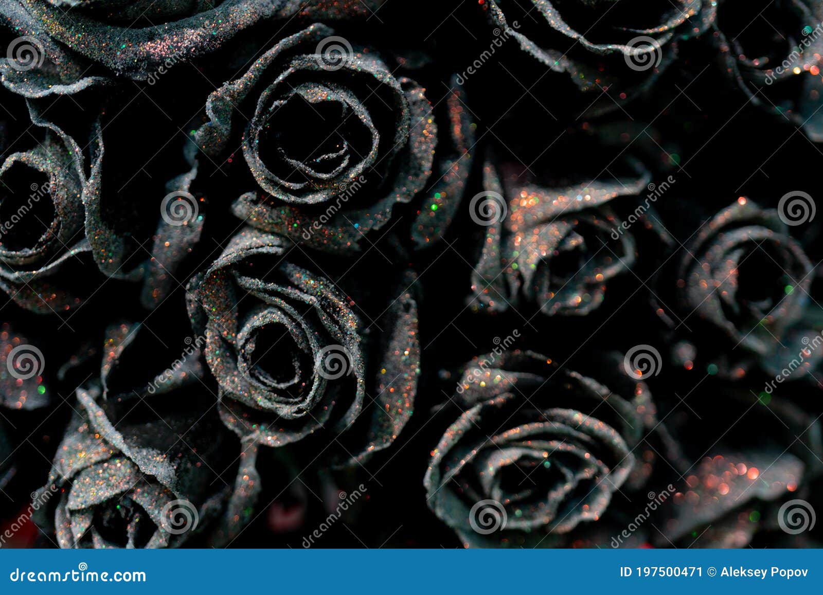Hermosas Rosas Negras Fondo De Flores Naturales Imagen de archivo - Imagen  de presente, floral: 197500471