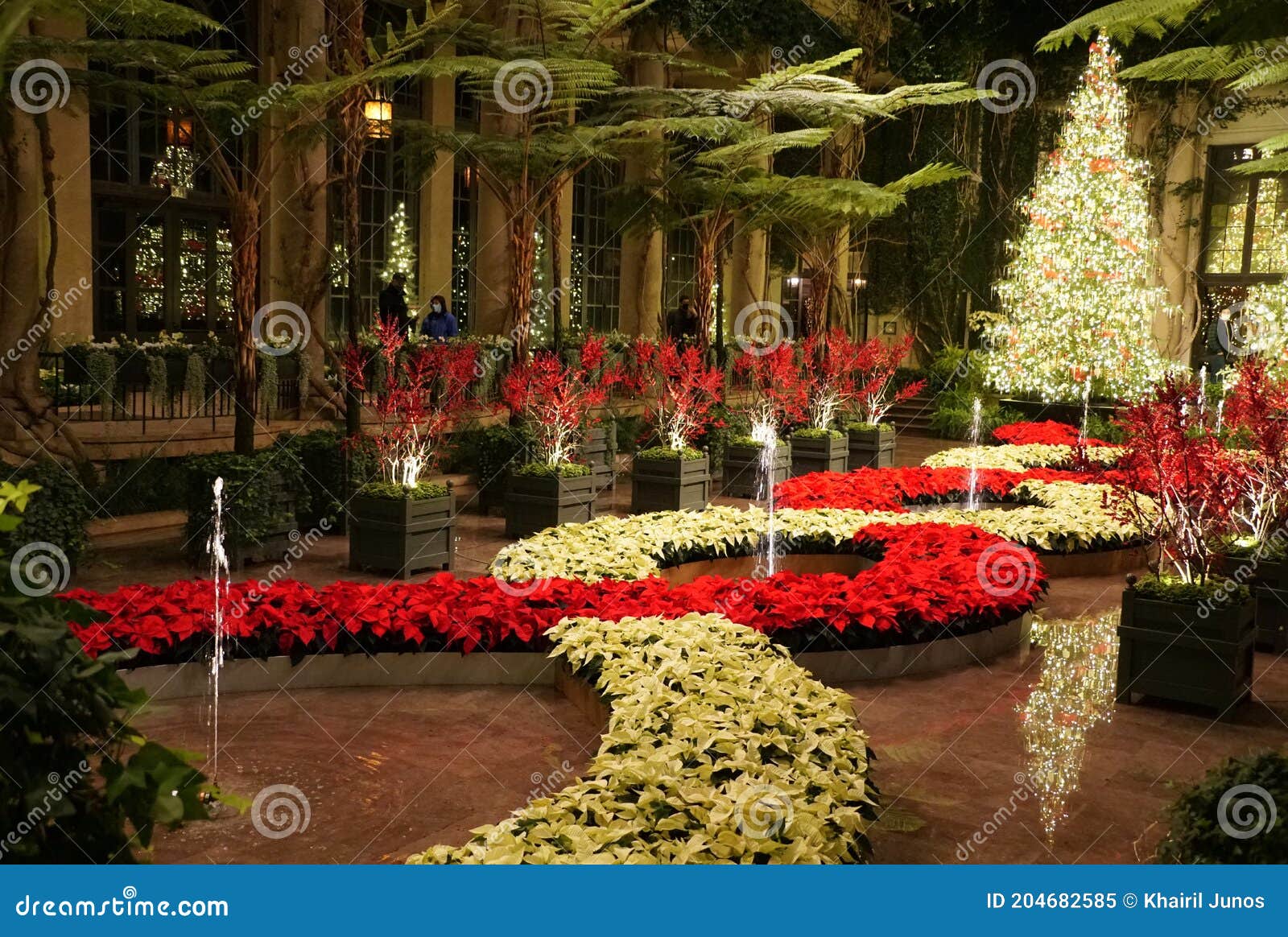 Hermoso Jardín Con Fuentes De Agua Decoradas Con Nochebuena Roja Y Blanca  Imagen de archivo - Imagen de estacional, feliz: 204682585
