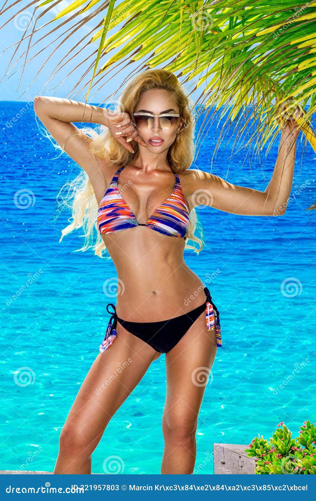 lector Rechazar excusa Hermoso Modelo De Bikini De Mujer Sexy Curtido En La Playa De Arena  Tropical De Maldivas. Joven Glamour Con Traje De Baño Cerca De Imagen de  archivo - Imagen de swimsuit, arena: