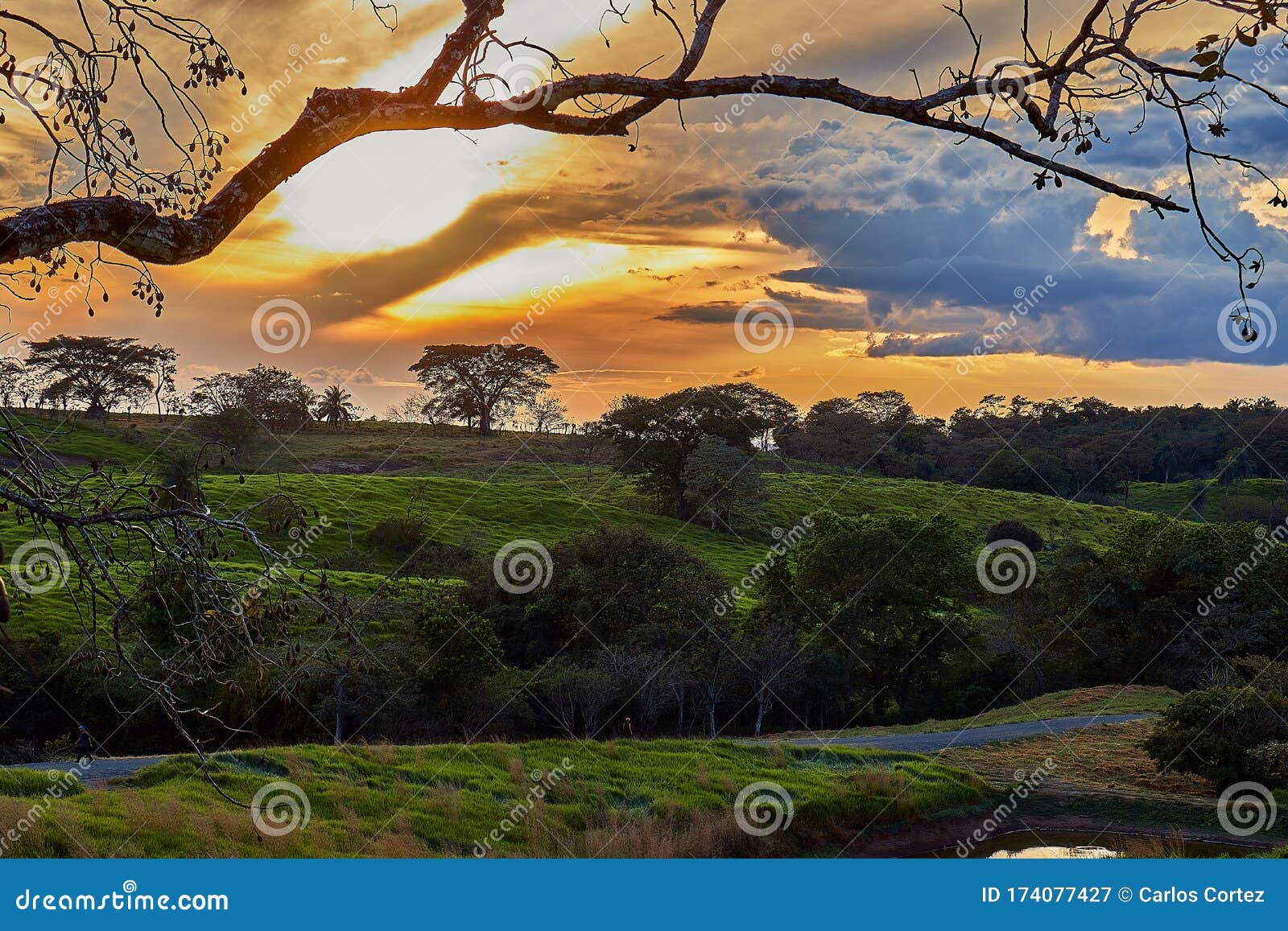 hermoso paisaje del parque metropolitano de la provincia de veraguas panamÃÂ¡