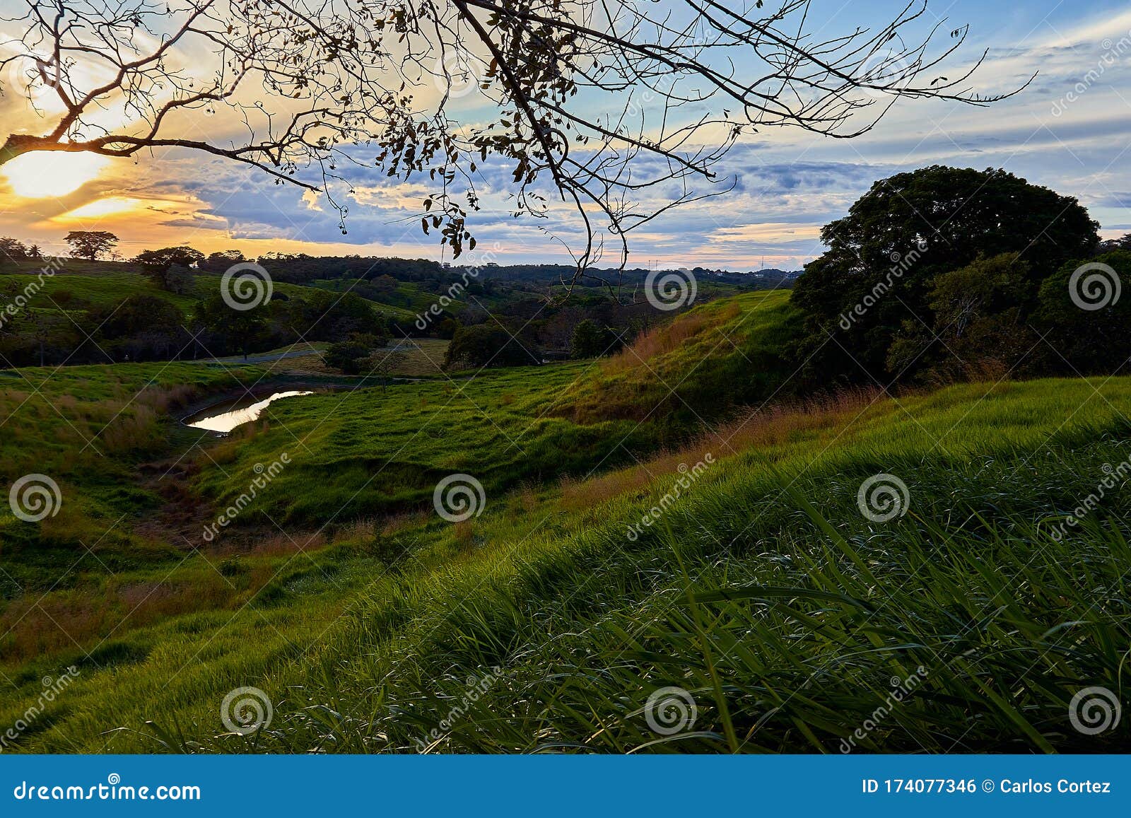 hermoso paisaje del parque metropolitano de la provincia de veraguas panamÃÂ¡