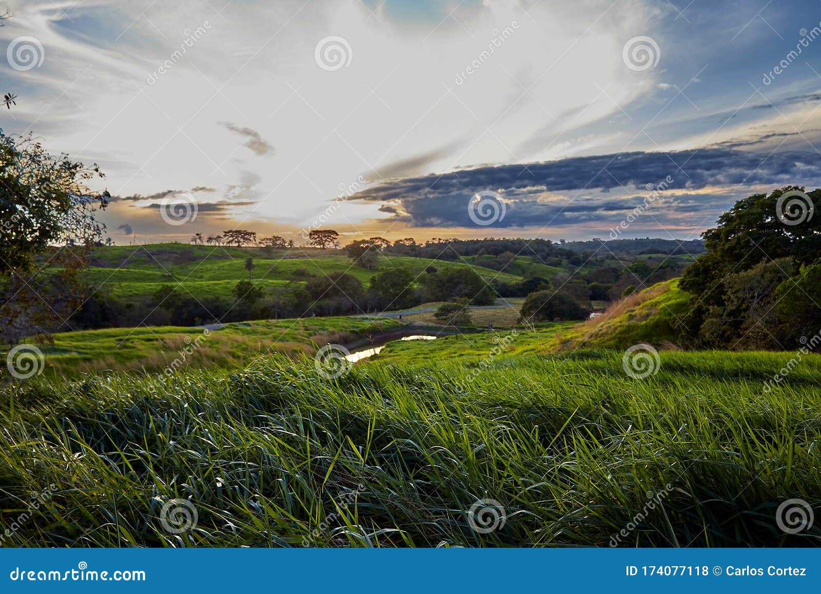 hermoso paisaje del parque metropolitano de la provincia de veraguas panamÃÆÃÂ¡