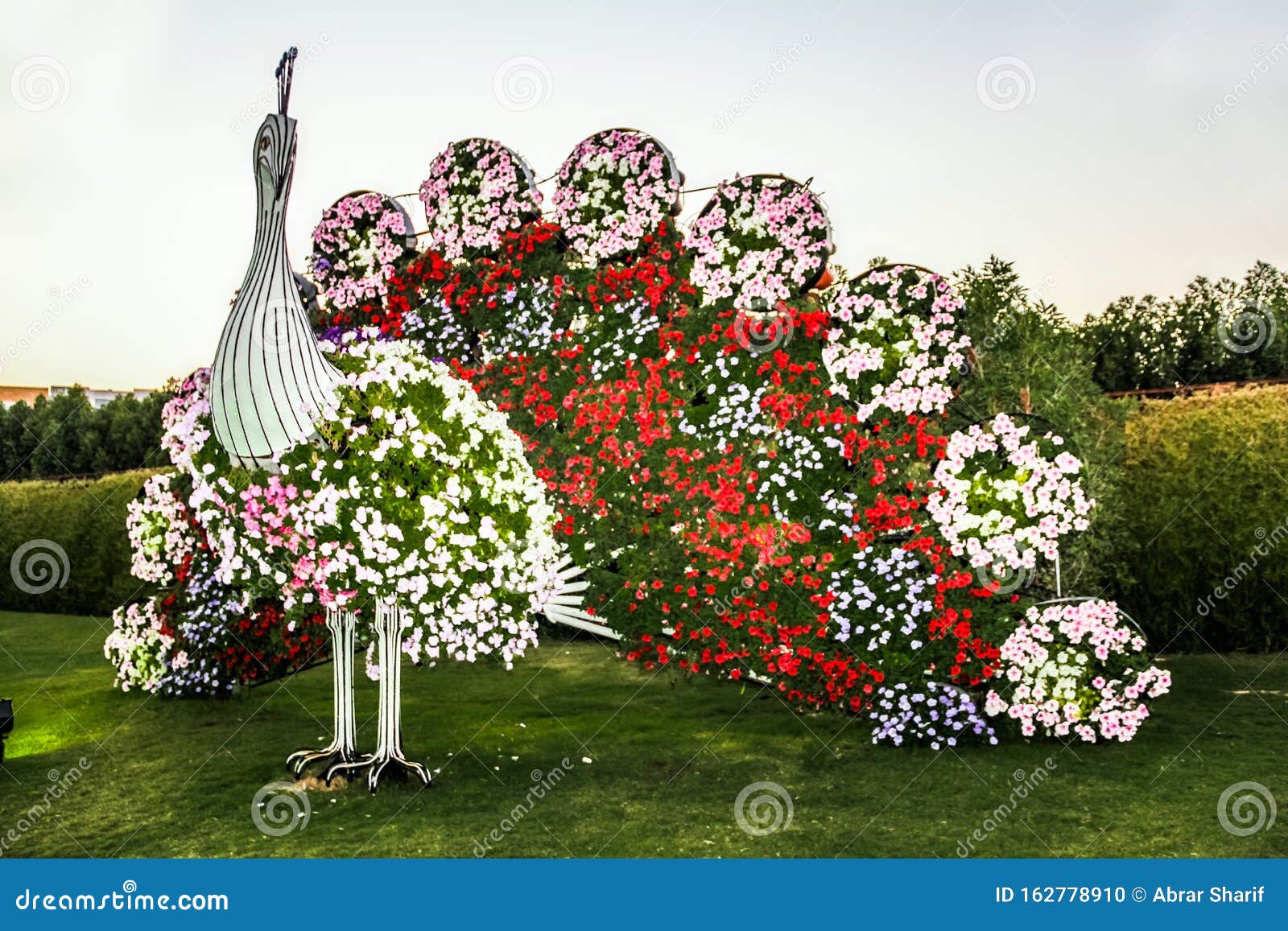 Hermoso Paisaje Florido De Miracle Garden Con Más De 45 Millones De Flores  En Un Soleado Jardín Imagen editorial - Imagen de parque, prospere:  162778910