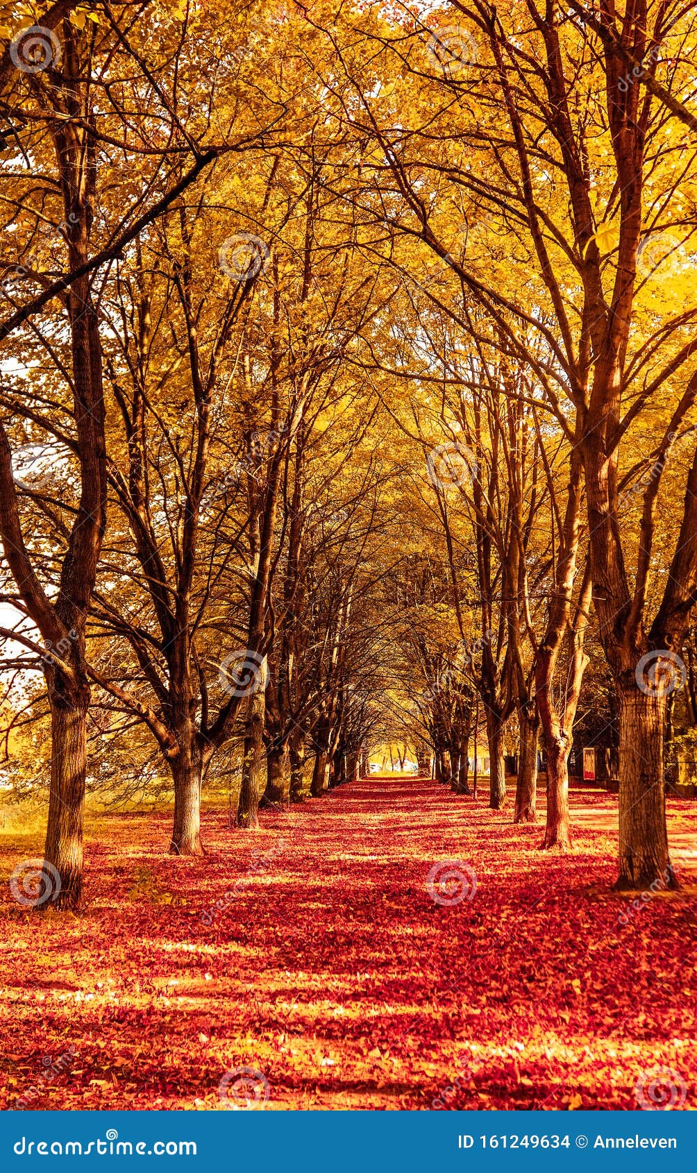 Hermoso Paisaje Otoñal, Paisaje Natural Vintage En Temporada De Otoño Foto de archivo - Imagen de paisaje, dorado: 161249634 Hermoso Paisaje Otoñal, Paisaje Natural Vintage En Temporada De Otoño Foto de archivo - Imagen de paisaje, dorado: 161249634