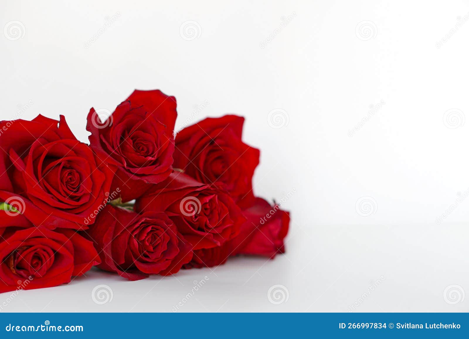 Romance de san valentín. hombre joven con ramo de rosas rojas y