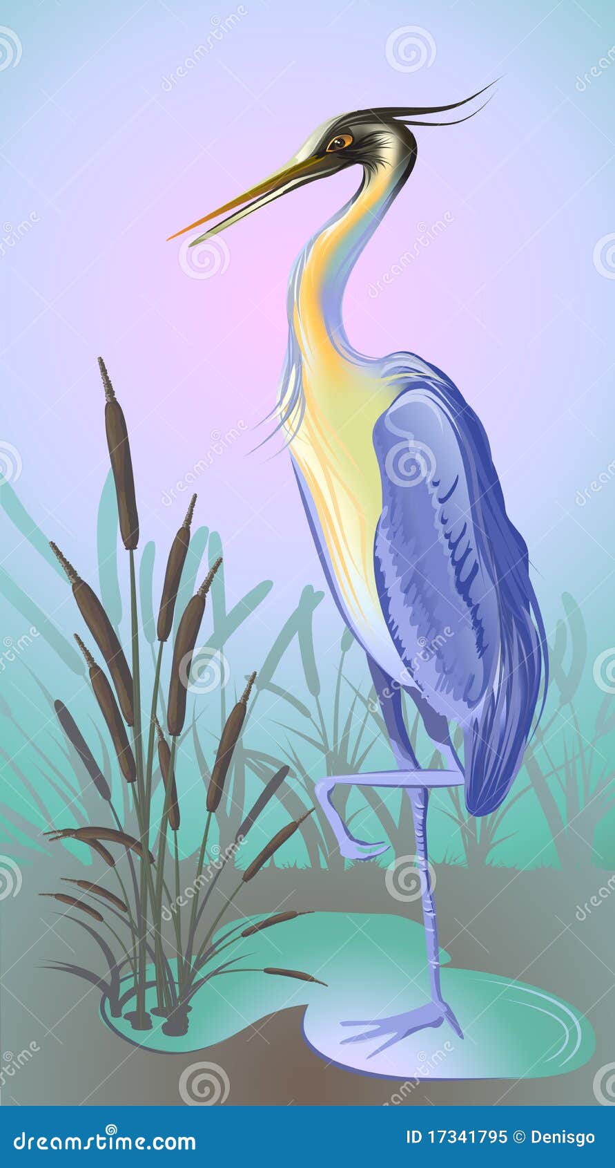 Heron with reed and water stock vector. Illustration of green - 17341795