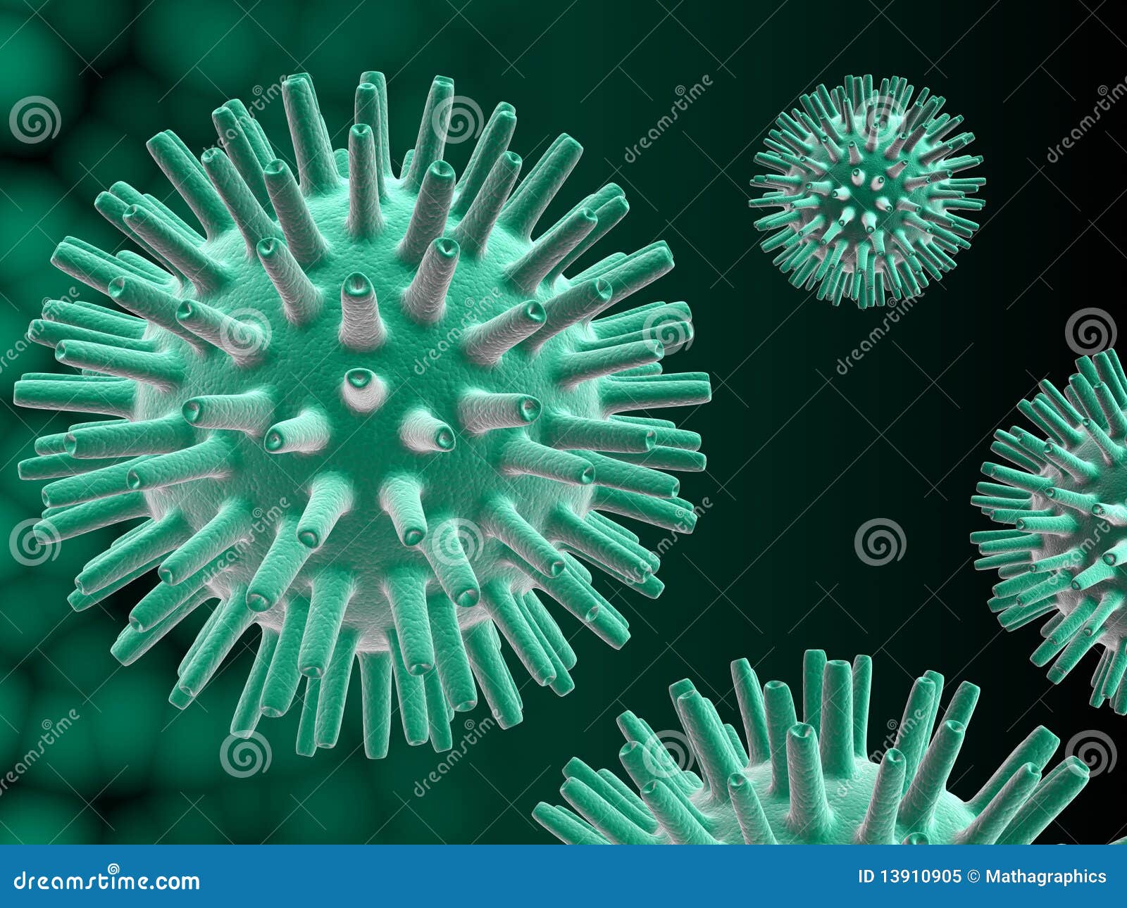 herpes simplex virus: HSV-1 - Herpes | HSV 1-2