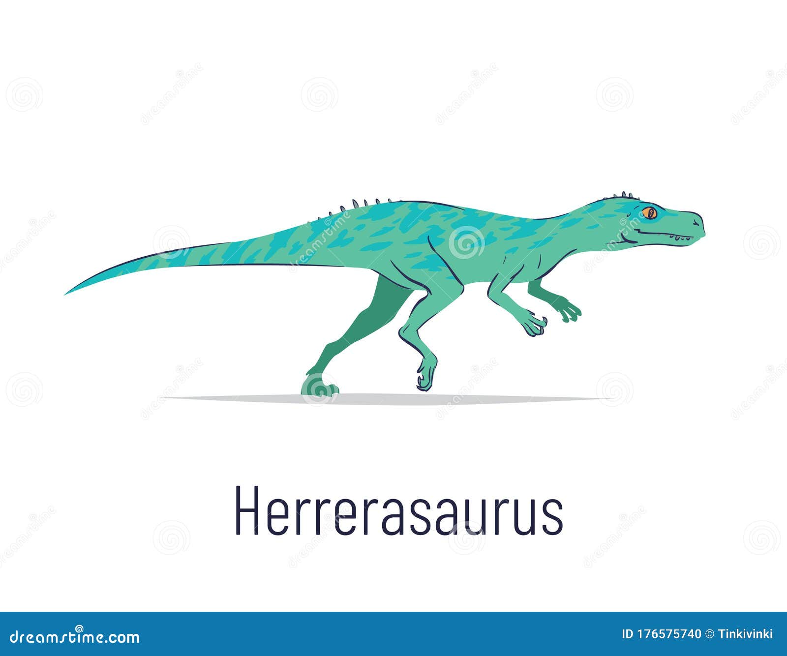 herrerasaurus. theropoda dinosaur. colorful   of prehistoric creature herrerasaurus in hand drawn flat