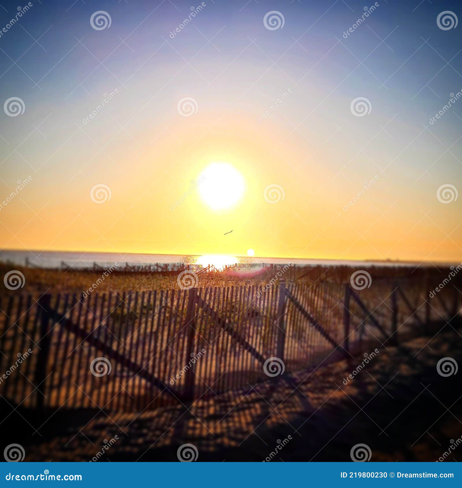 Herring Cove Sunset on a Cape Cod Beach Stock Photo Image of sunlight