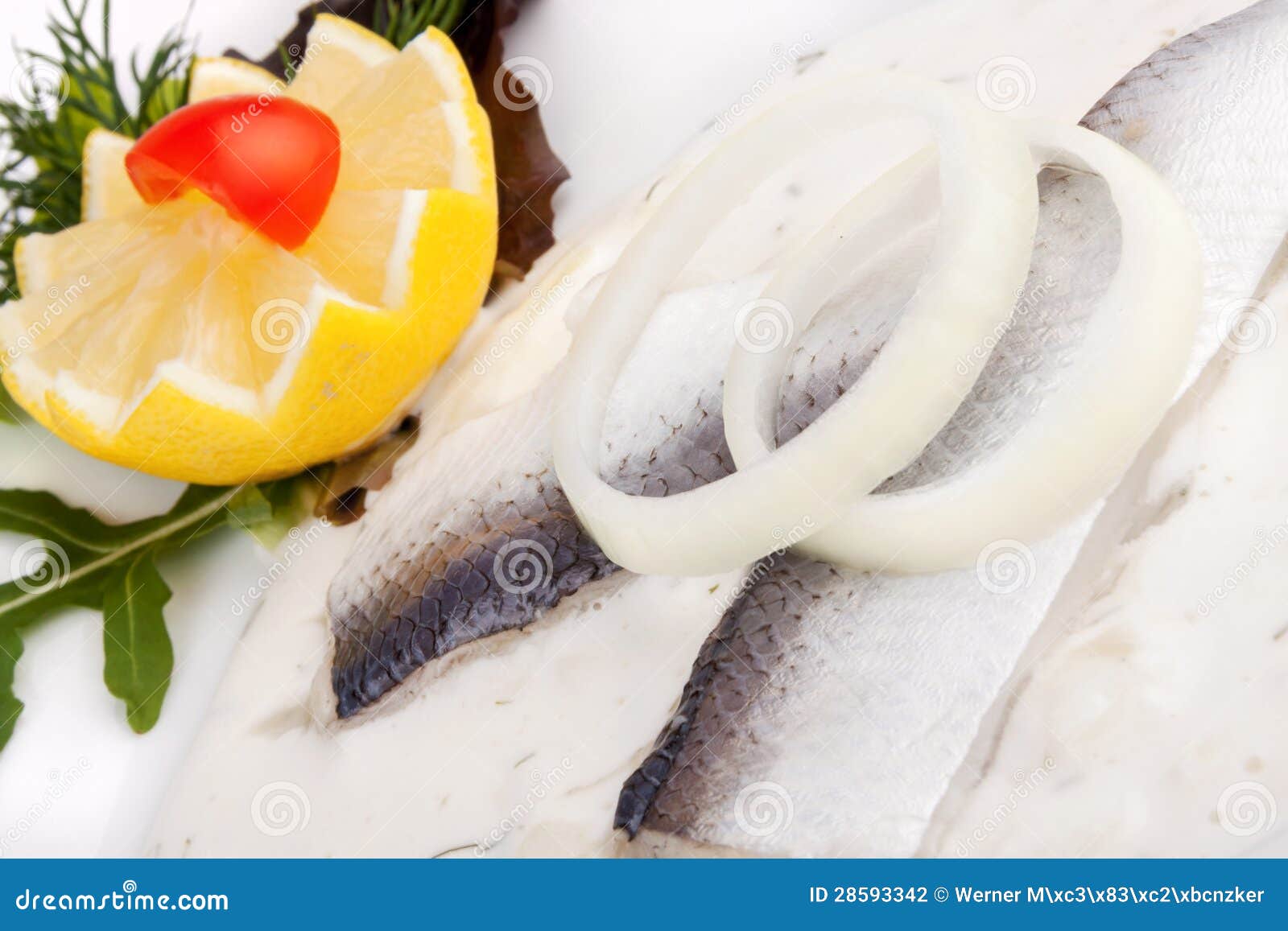 Herring Fillet on Dill Sauce Stock Photo Image of dillsauce