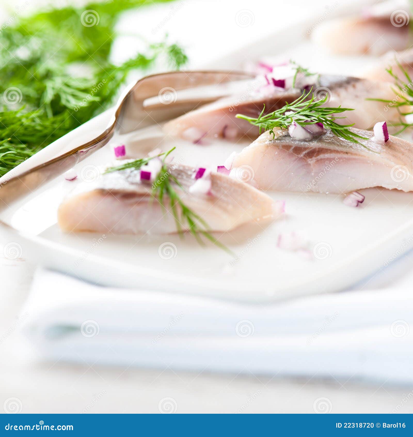 Herring Fillets with Dill and Onion on a Plate Stock Photo Image of