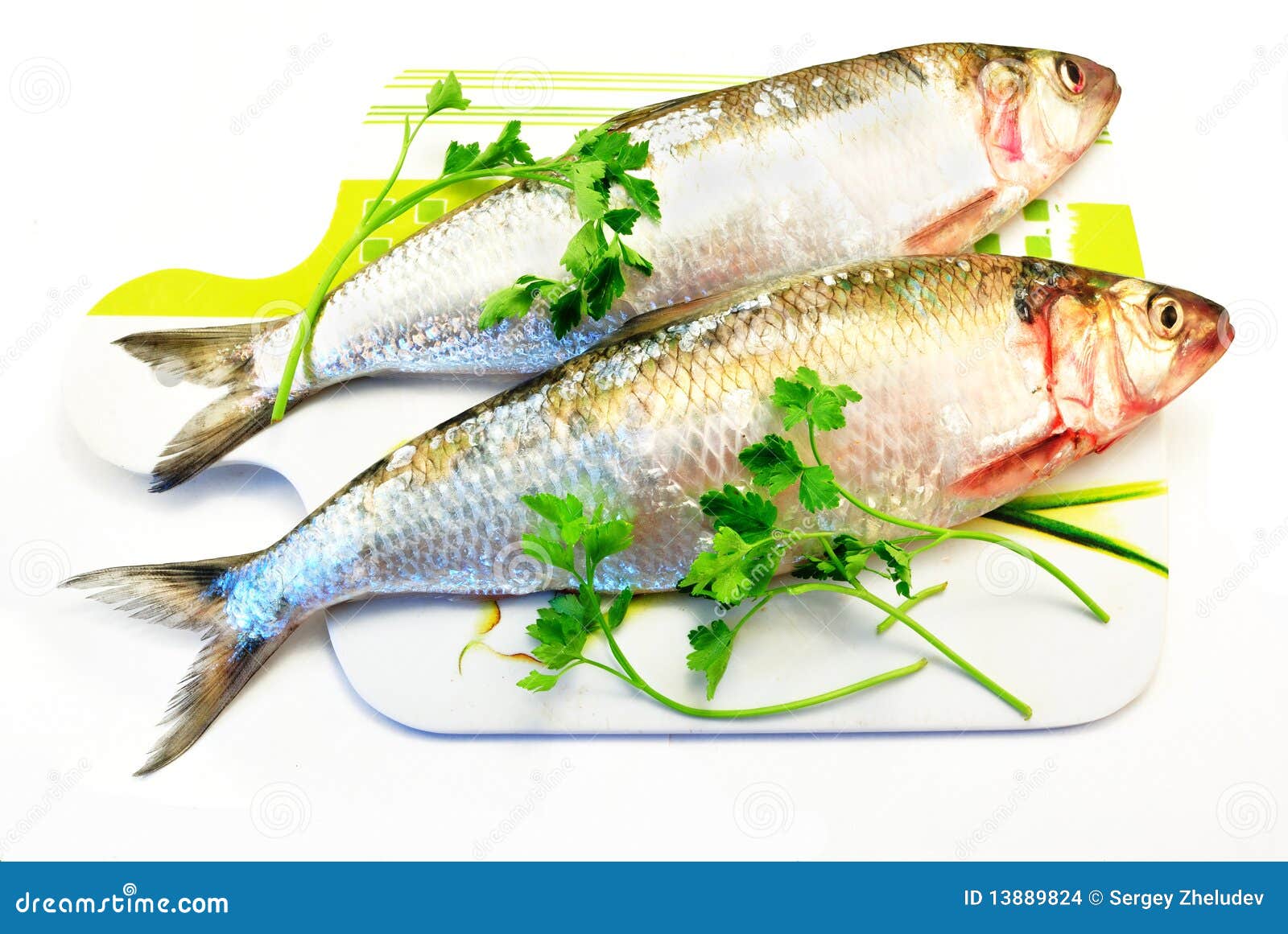 Herring fish stock photo. Image of healthy, close, prepared 13889824