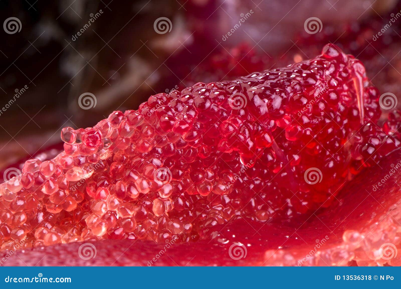 herring roe close up