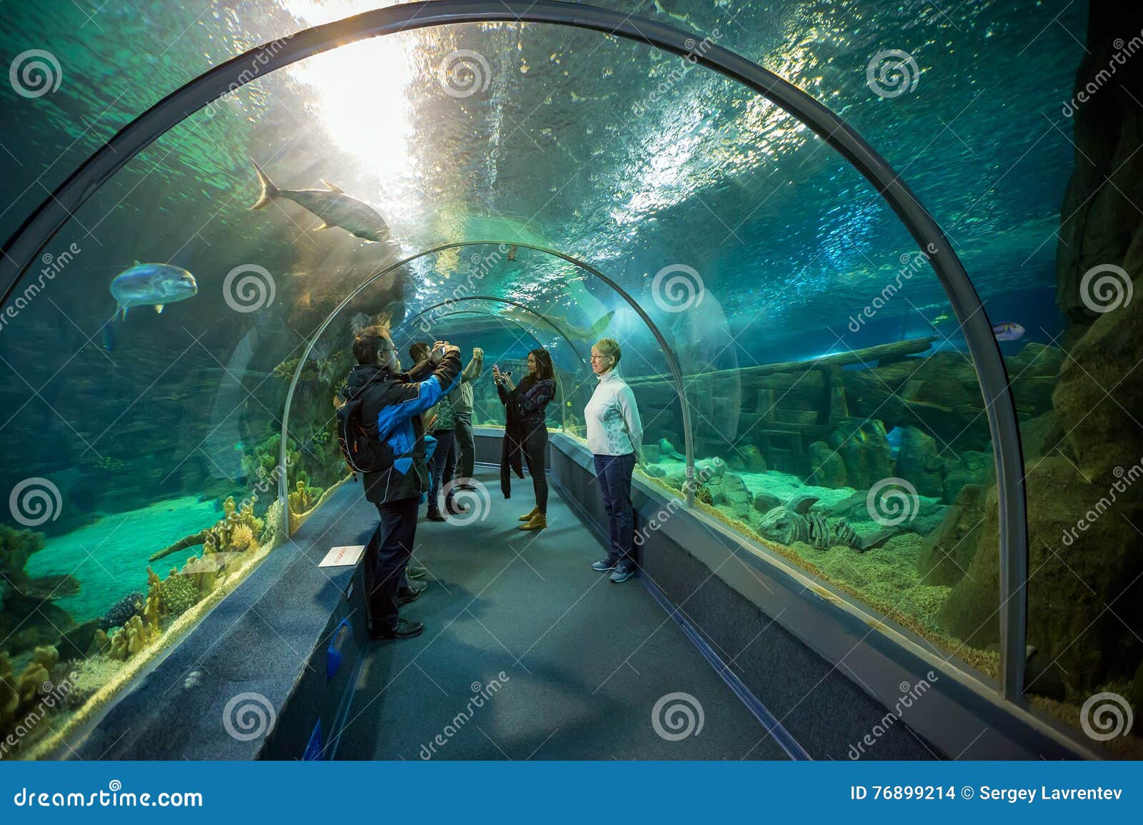 Het Aquarium Van De De Ontdekkingswereld Van Sotchi Rusland ...