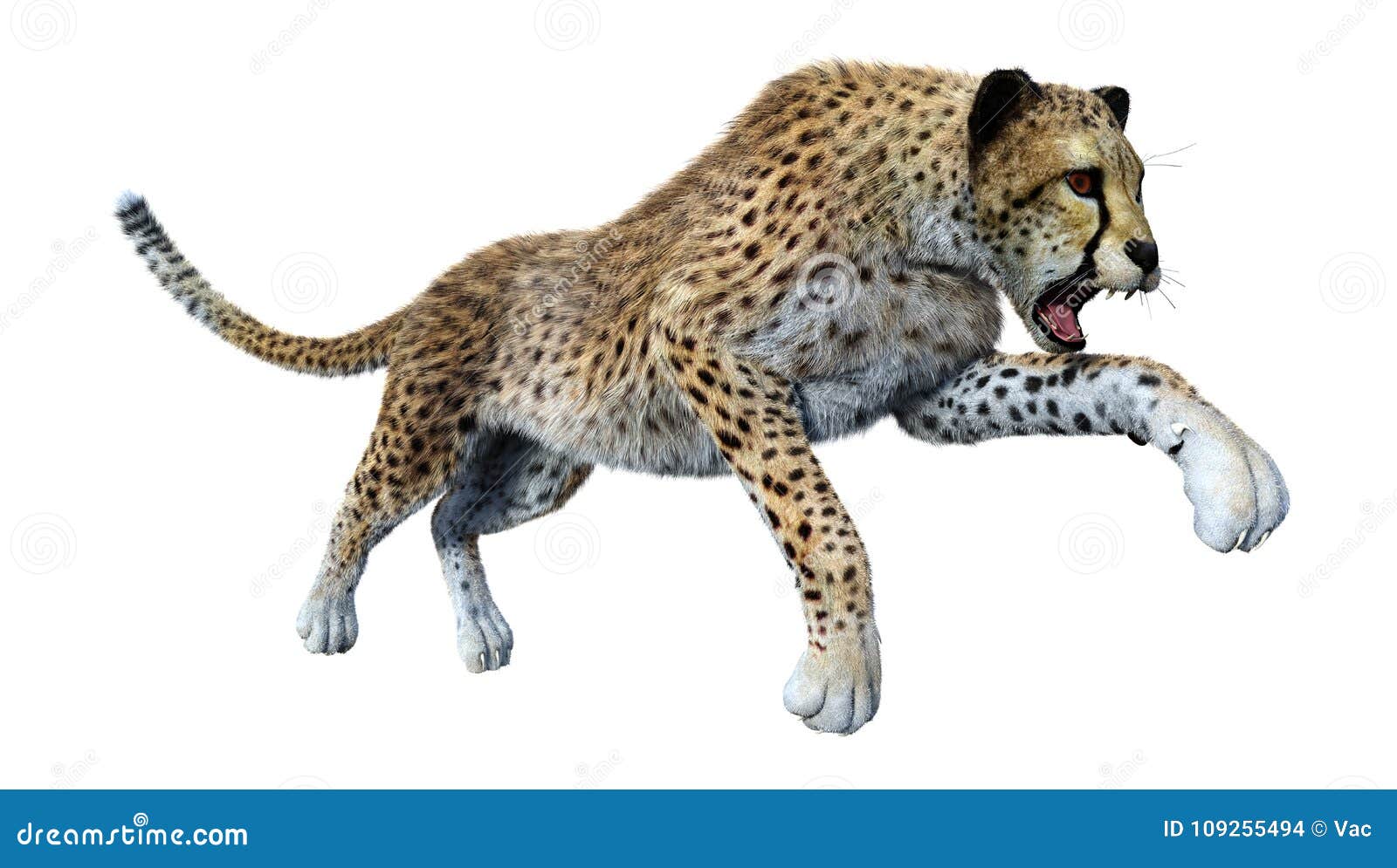 Het 3D Teruggeven Grote Cat Cheetah Op Wit Stock Illustratie ...