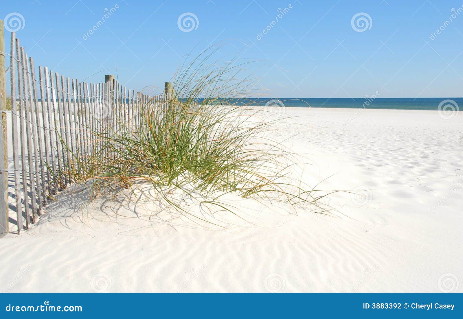 Het Duin van het Zand van het strand. Schitterende witte zand en grassen naast omheining en oceaan