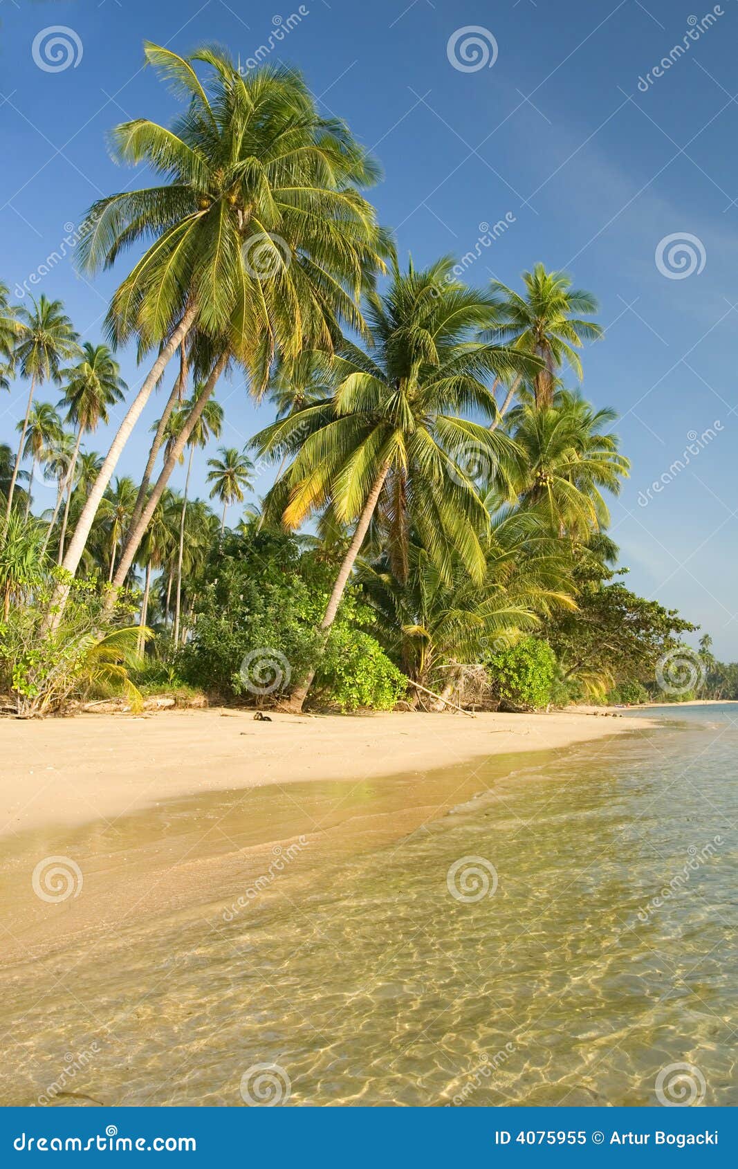Het Eiland van het paradijs. Tropische strandscène met kokospalmen, duidelijk water en blauwe hemel.