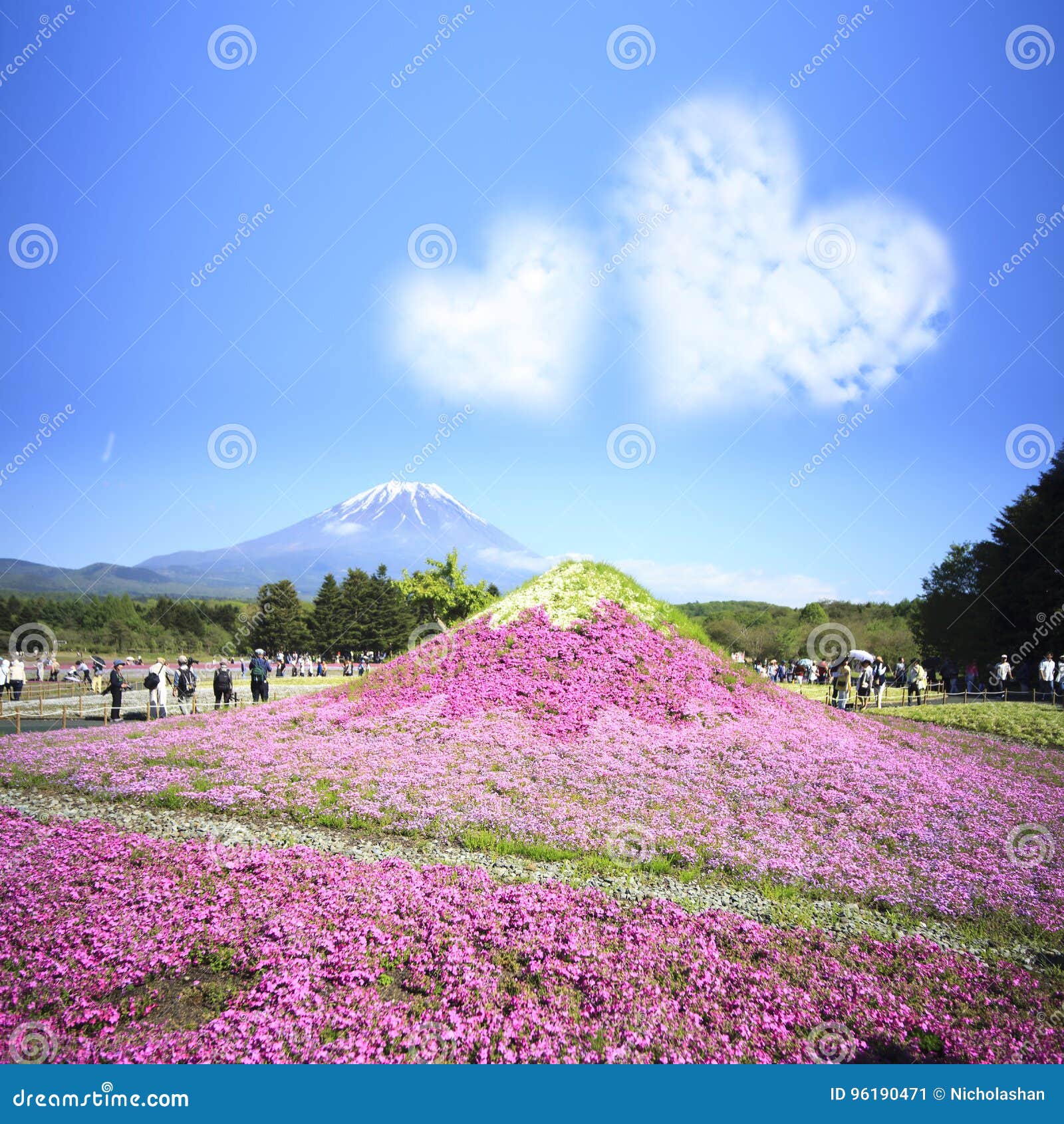 Het meer van de Fujirivier, Japan, 21 Mei, 2016: Het Festival van Japan Shibazakura met het gebied van roze mos van Sakura of de kers komt met Berg Fuji op achtergrond tot bloei
