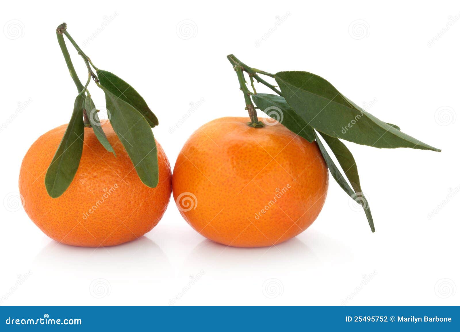 Het Fruit Van De Satsumamandarijn Stock Foto Image of twee, vrucht