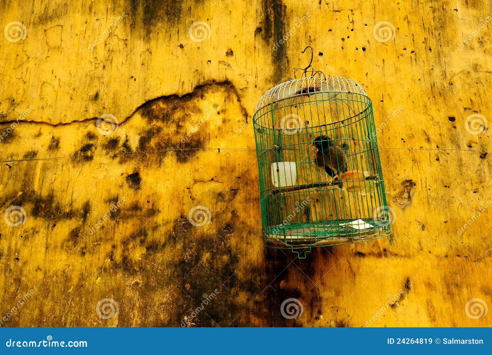 Verstrikking Mening Handel Het Hangen Van De Kooi Van De Vogel Tegen Gele Muur Stock Afbeelding -  Image of gebouw, azië: 24264819