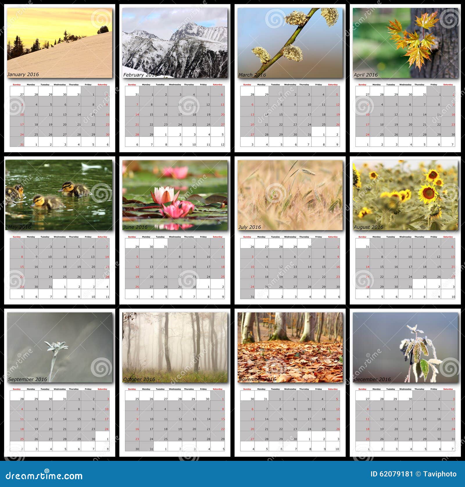 Het Kalenderjaar 2016 Van Aardbeelden Stock Illustratie Illustration