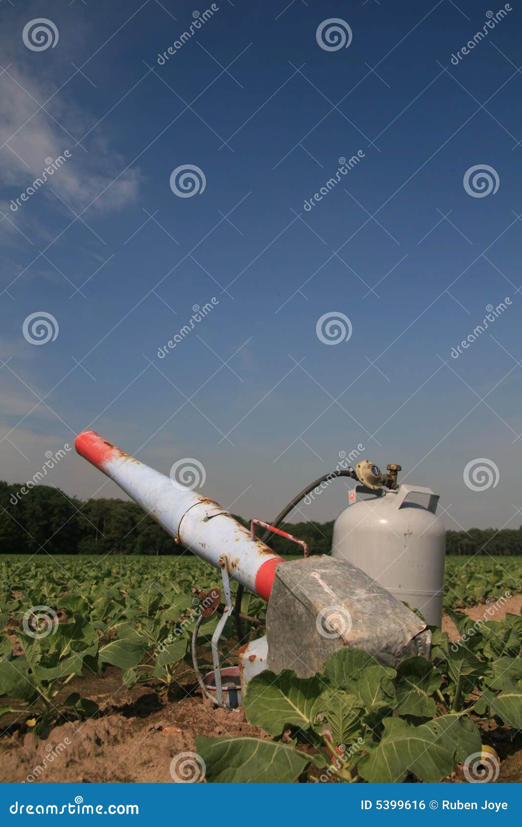 Het Kanon Het Propaan Op Een Met Jonge Stock Foto - Image of doorbladert, agronomie: 5399616