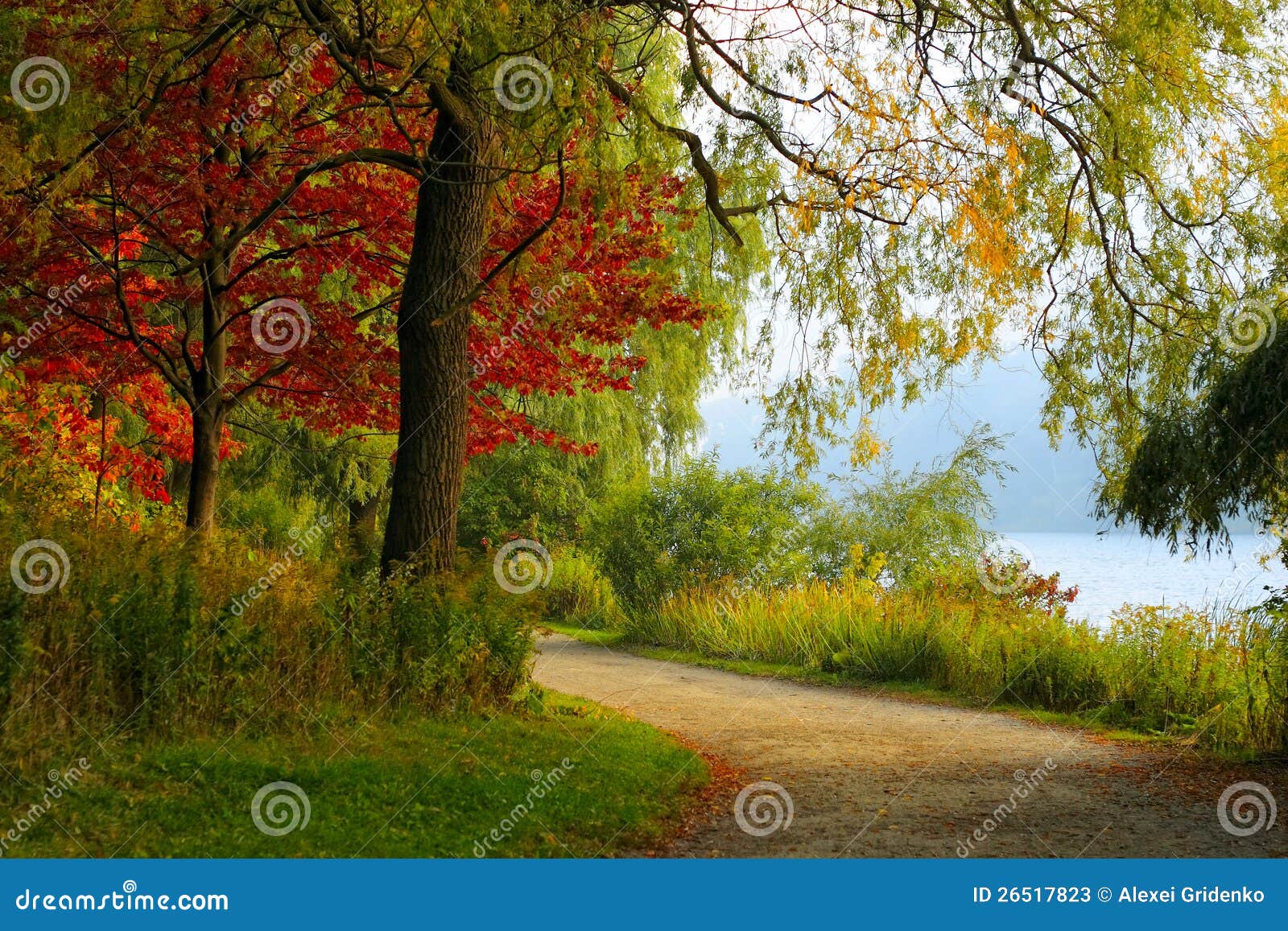 Het landschap van de herfst met bomen, weg en een vijver.