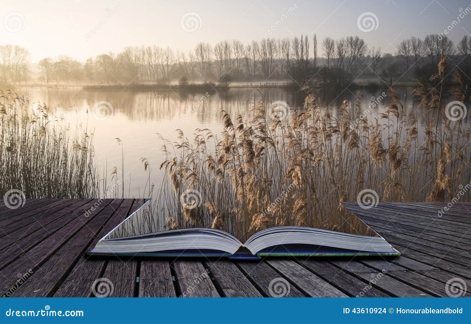 Lake book. Пейзаж с книгой. С книжкой на озере. Книга озеро. Красивые фото с книгой на озере.