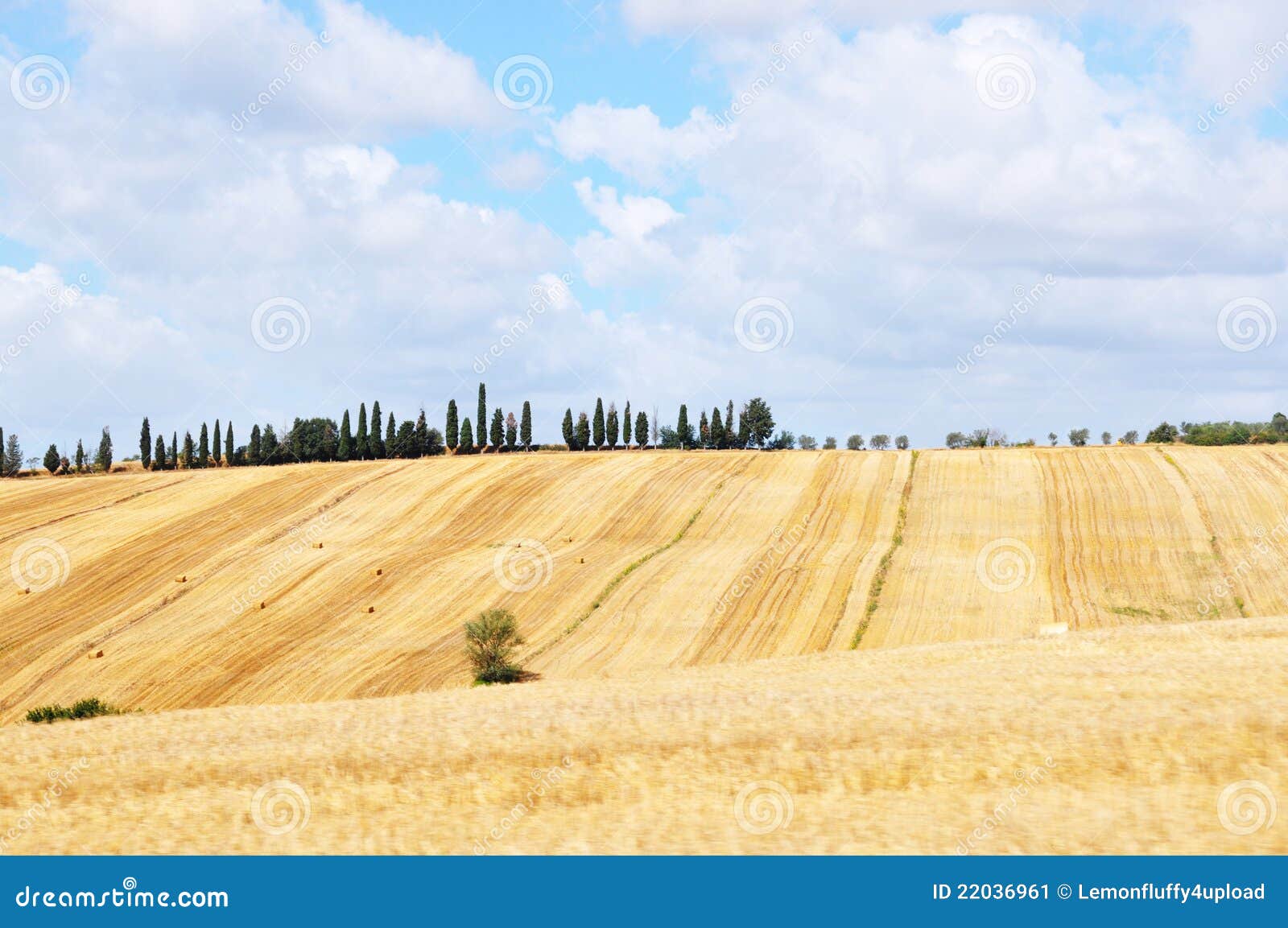 Het landschap van Toscanië. Een Toscanië landschap met gele gebieden
