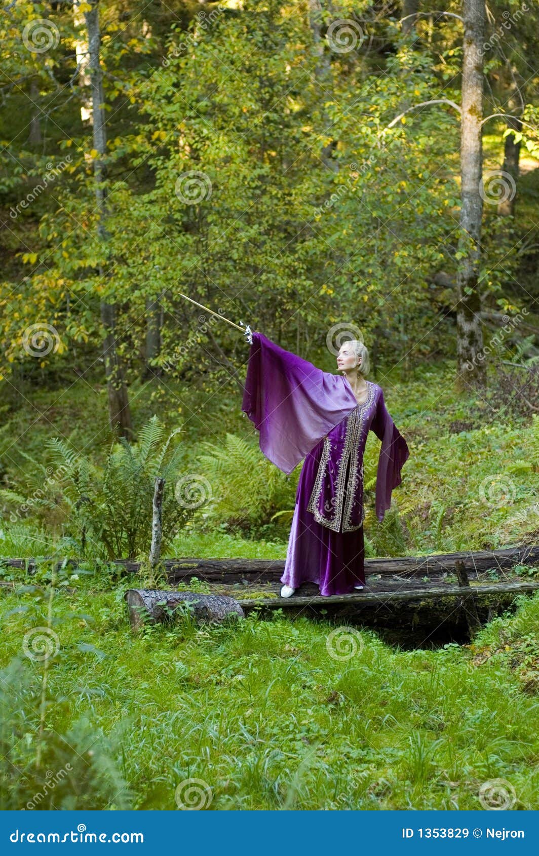 Elfmeisje Picture. Image: 1353829