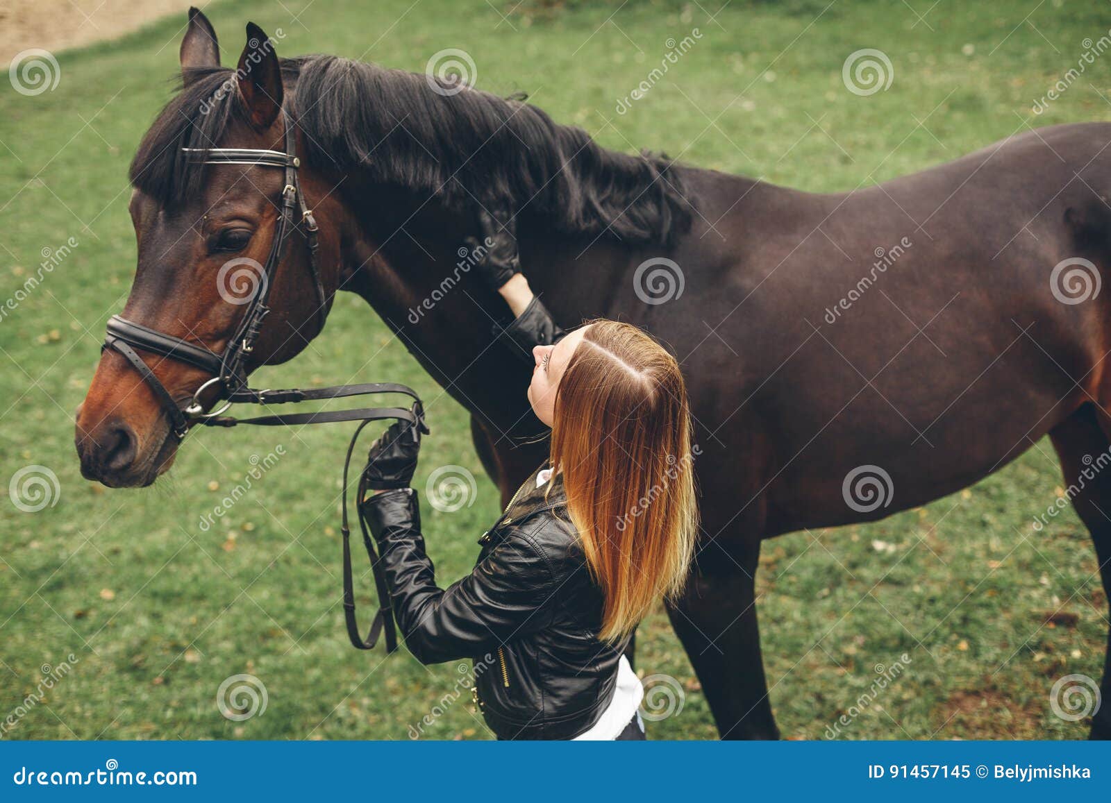 Het mooie meisje communiceert met een paard in het park. Het mooie meisje communiceert met het paard in het park Het voorbereidingen treffen voor het berijden