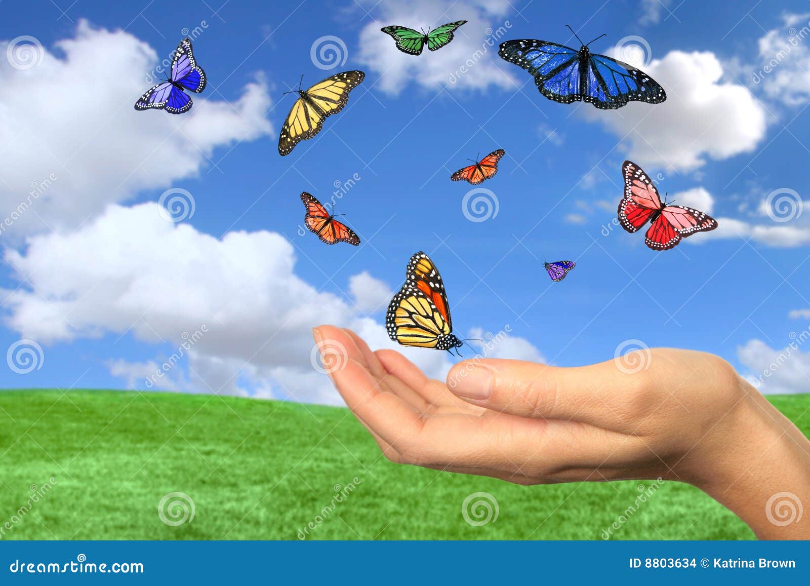 Spiksplinternieuw Het Mooie Vrij Vliegen Van Vlinders Stock Foto - Afbeelding IR-04