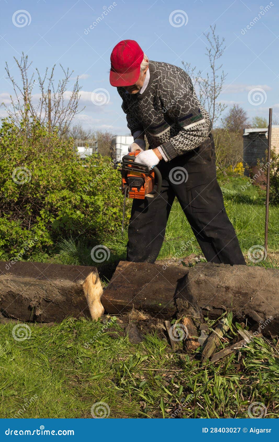 Het oude mens zagen. Een oude mens in de moestuin zagende logboeken