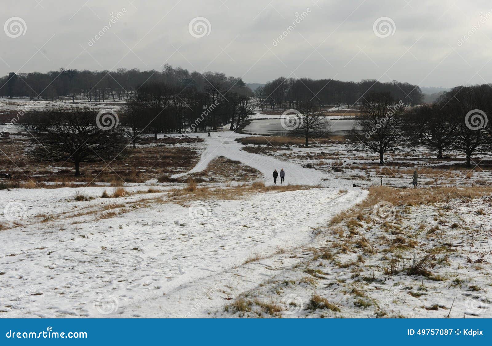 Het park van Richmond in de sneeuw tijdens een de winterblizzard