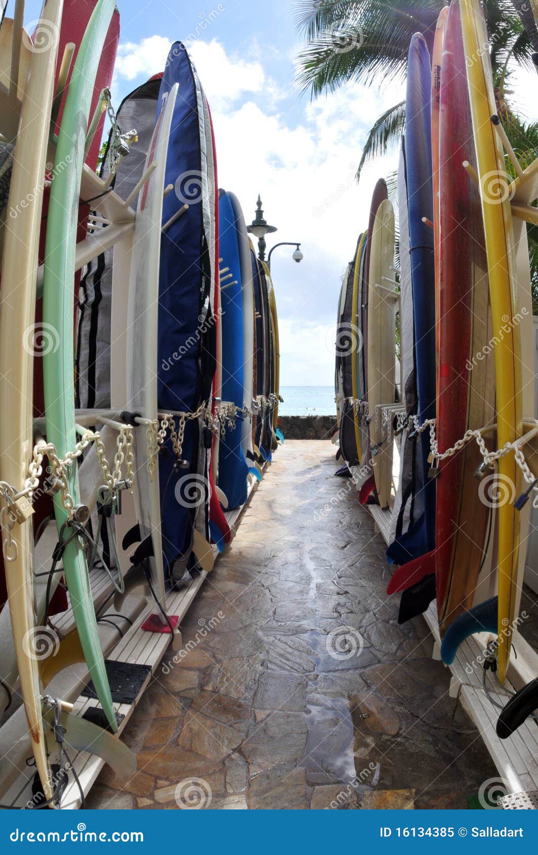 Het Satnading Van Longboards Op Arack in Beroemde Waikiki is Stock