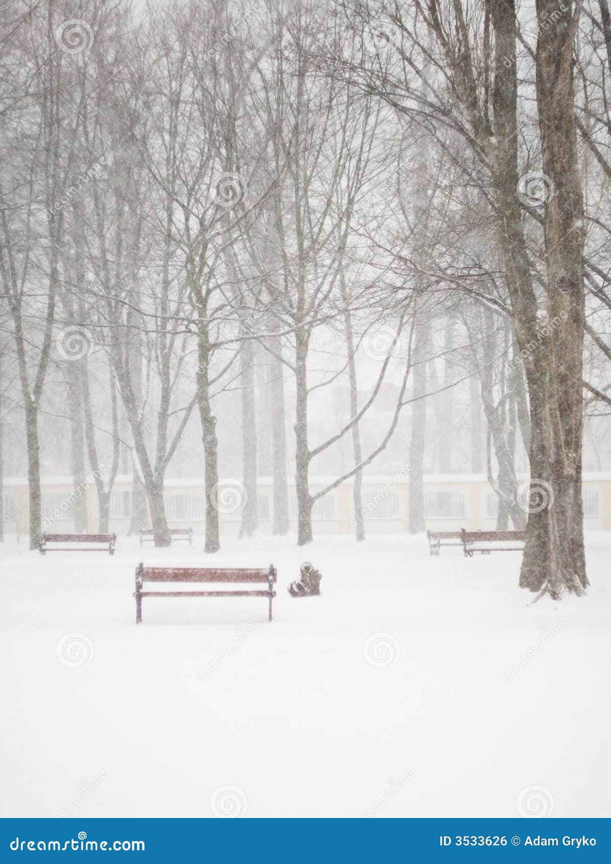 Het sneeuwen. Enige bank die met sneeuw wordt behandeld. Sneeuwende scène.