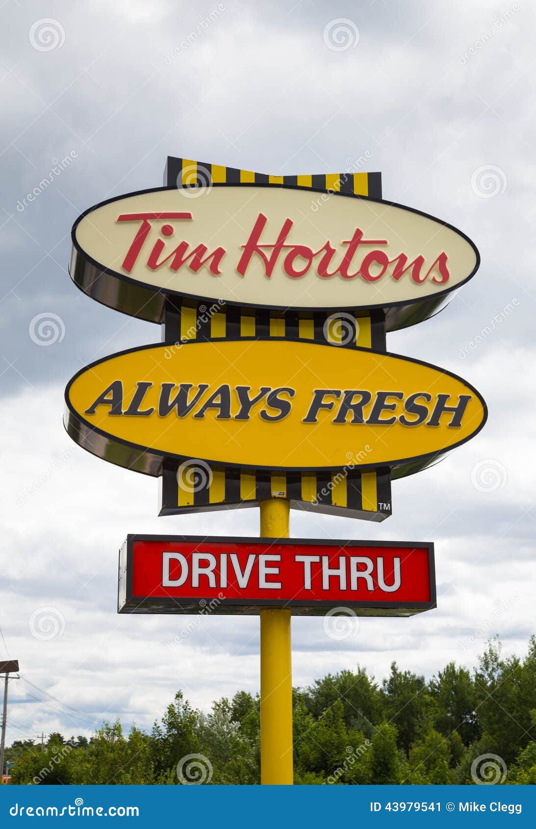 tim horton font tim horton font