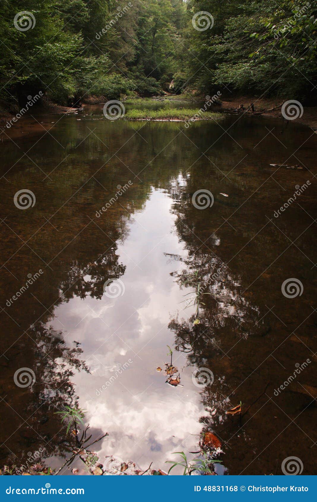 Het wijzen van op bomen en wolken. Bezinning van middaghemel op Sipsey-Vork van de Zwarte Strijdersrivier, Sipsey-Wildernis, Alabama