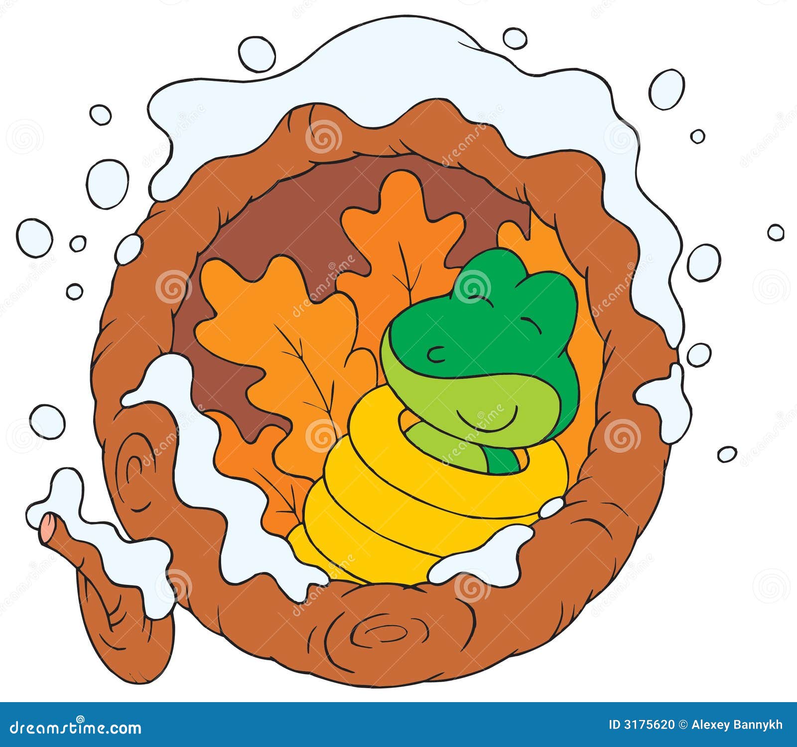 clipart of animals that hibernate - photo #8