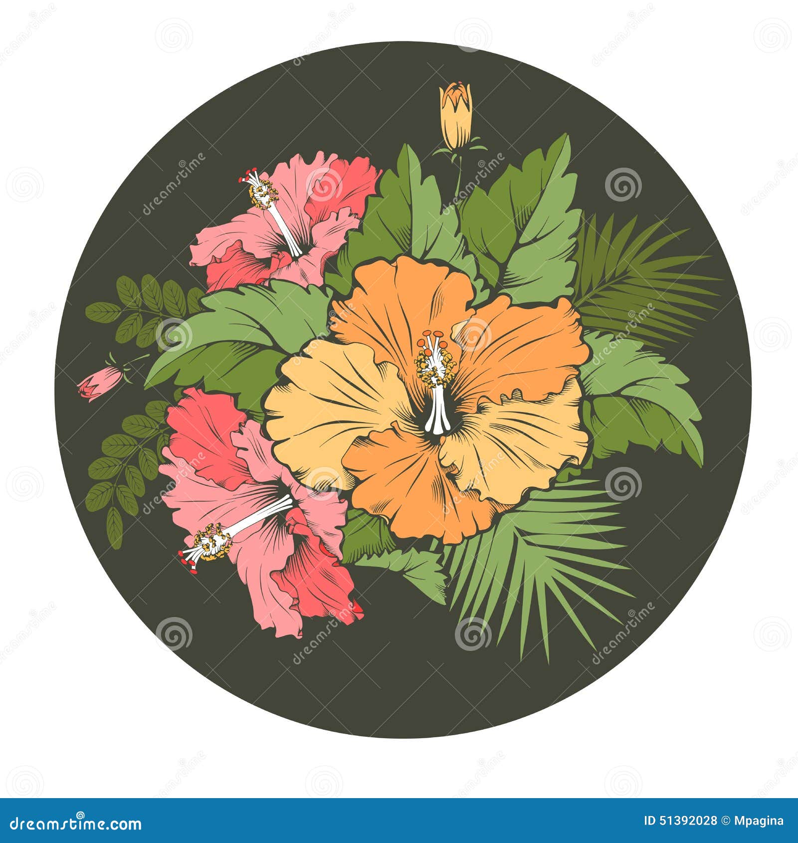 Hibiscus stock illustration. Illustration of leaf, pattern - 51392028