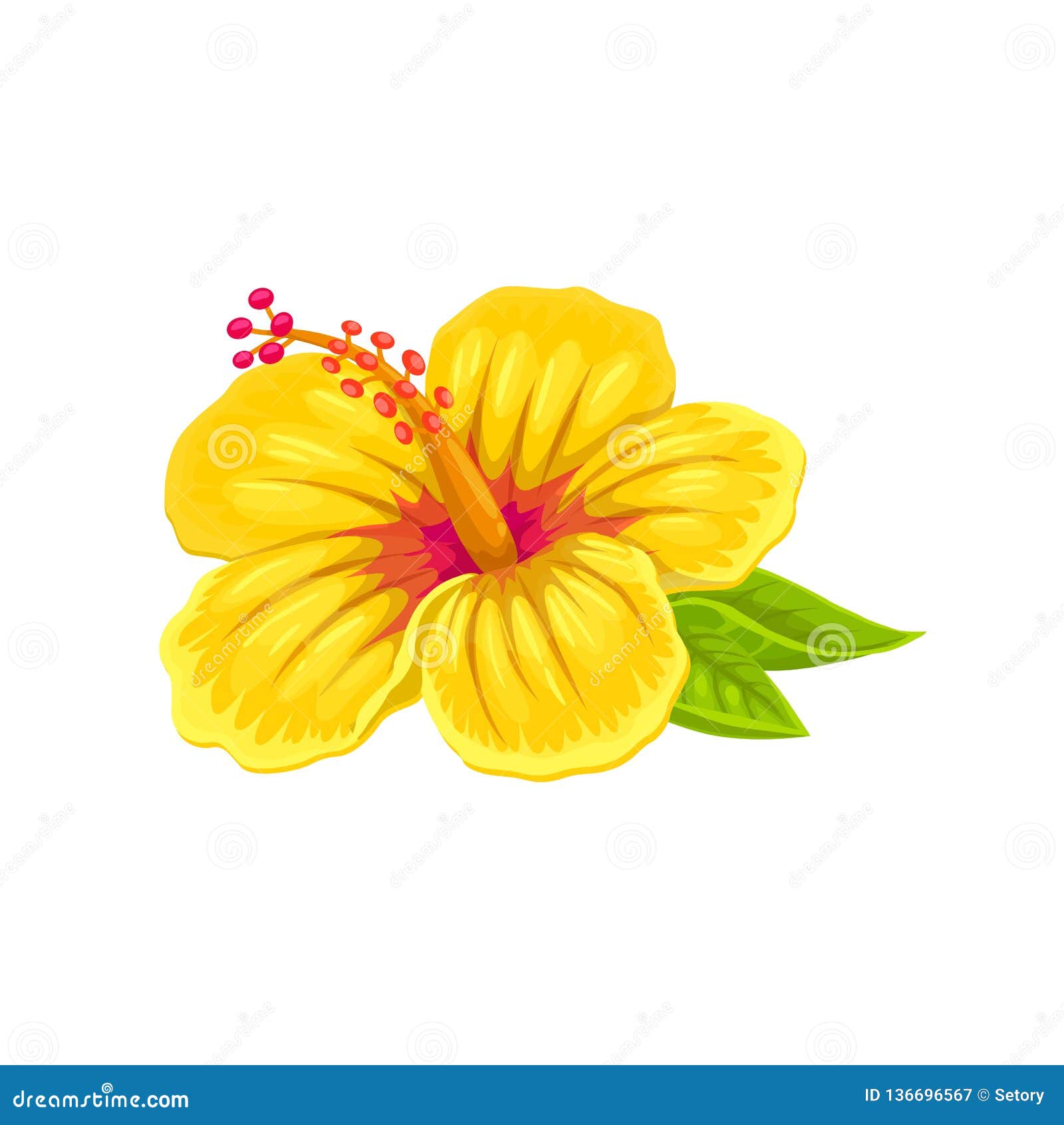 Hibiscus, flor tropical ilustração do vetor. Ilustração de objeto -  136696567